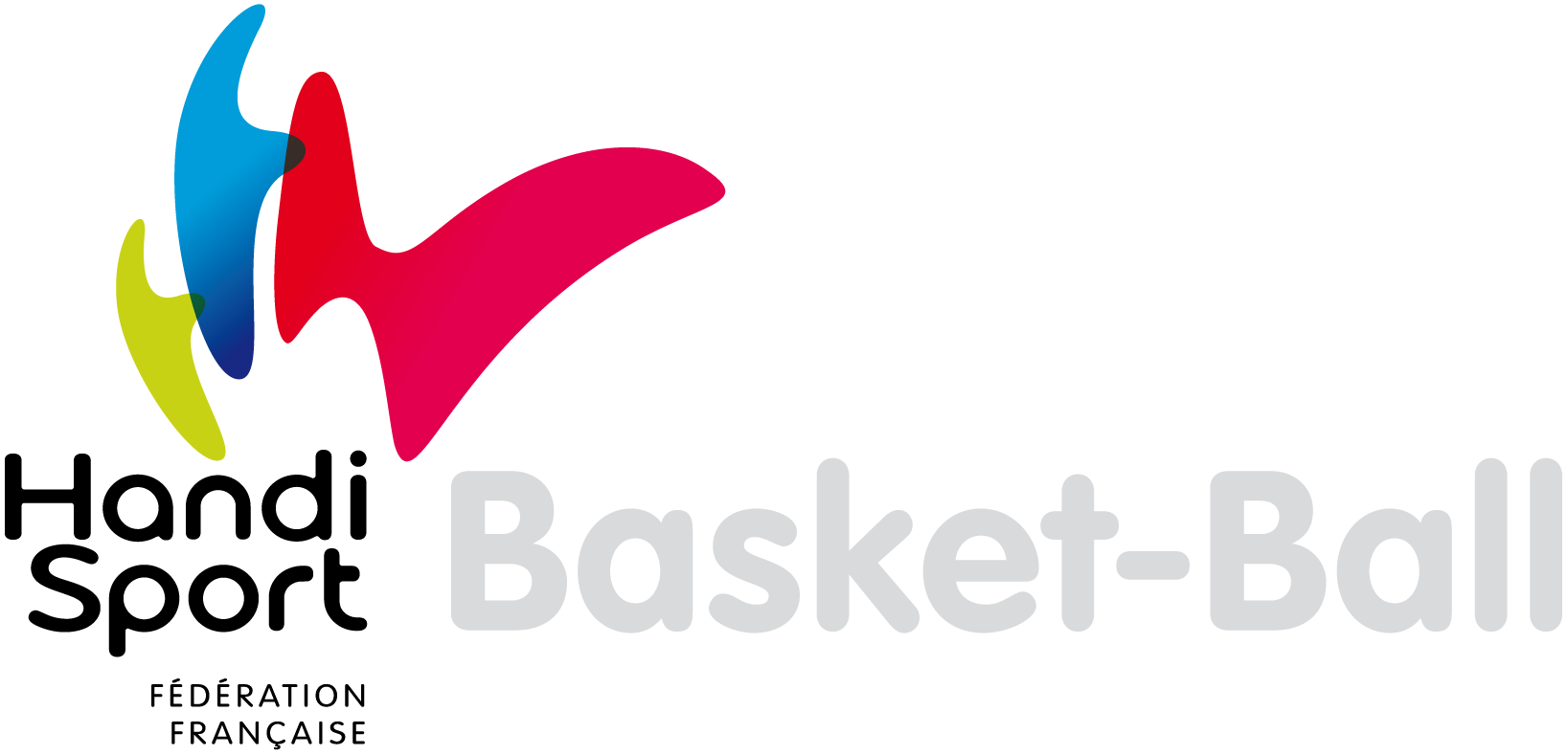 HandiBasket